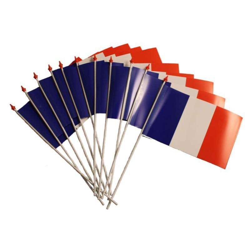 Drapeau Plastique France avec Bâton 