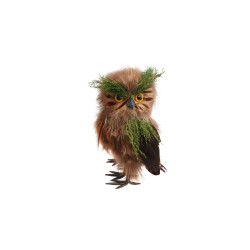 Hibou De La Forêt En Plumes...