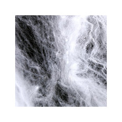 Toile D'Araignée Blanches...