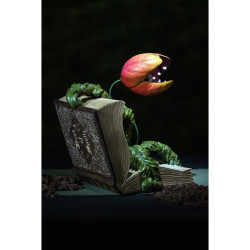 Livre En Résine Avec Plante Carnivore
