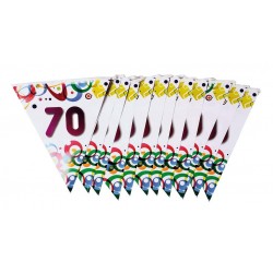 Guirlande Fanions Anniversaire 70 Ans 