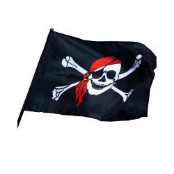 Drapeau de Pirate en Tissu avec Bâton