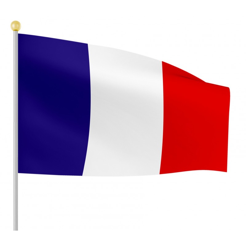 Petit drapeau français au chaud : r/placeFR