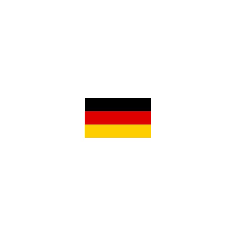 Drapeau/Drapeau Allemagne de football 4 étoiles Fan Hissflagge 90 x 150 cm 