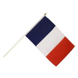 Drapeau France 14 x 21cm avec Bâton 