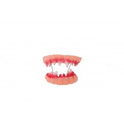 Dentier de Vampire 