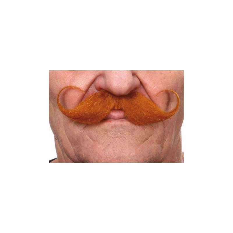 Moustache Guillaume Roux