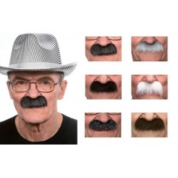 Moustache Brosse Grise