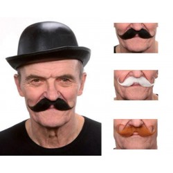 Moustache Guillaume Blanc