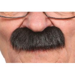 Moustache Brosse Noire