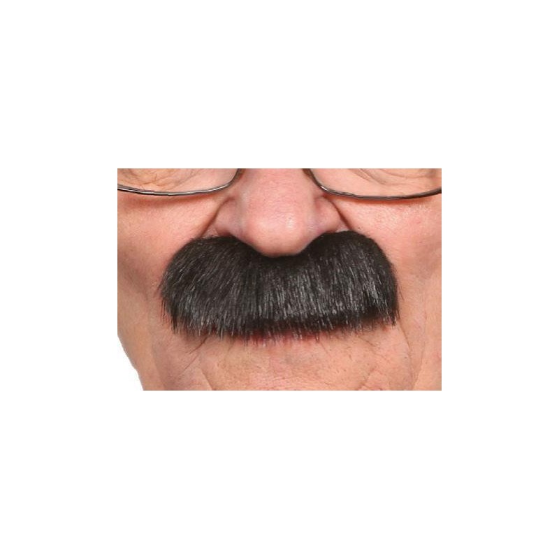 Moustache Brosse Noire