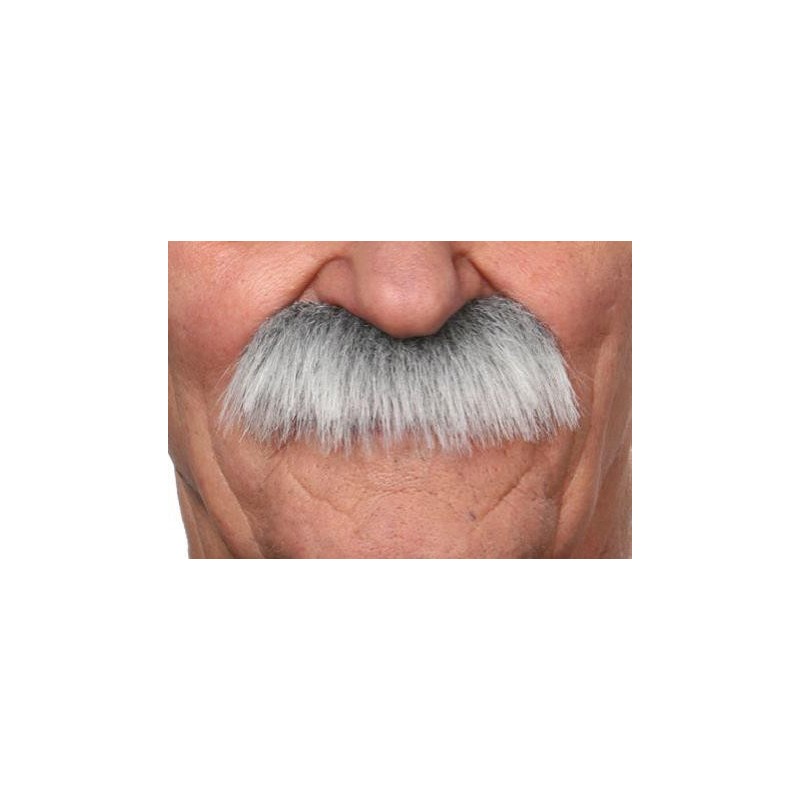 Moustache Brosse Gris