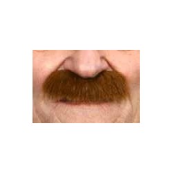 Moustache Brosse Rousse