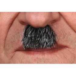 Moustache Charlot Poivre et Sel