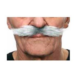 Moustache Hongroise Gris