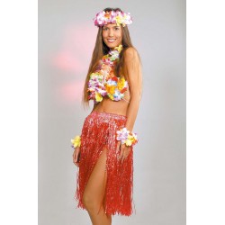 Collier de Fleurs Hawaï avec Bracelets et Couronne
