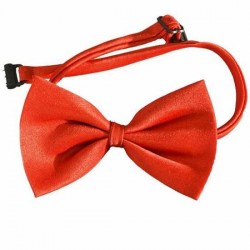 Noeud Papillon Satin Rouge 