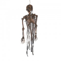 Squelette Brulé 120cm